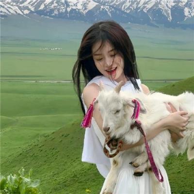 38师机动队
