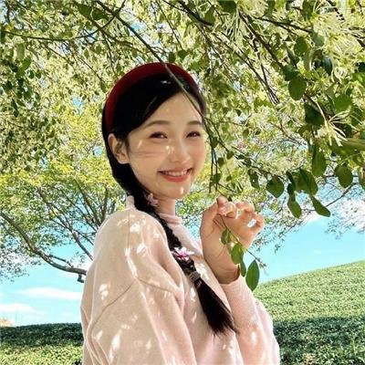 利剑玫瑰